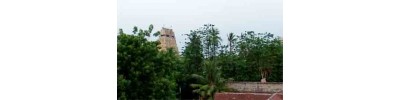 40. திருச்சித்திரகூடம்